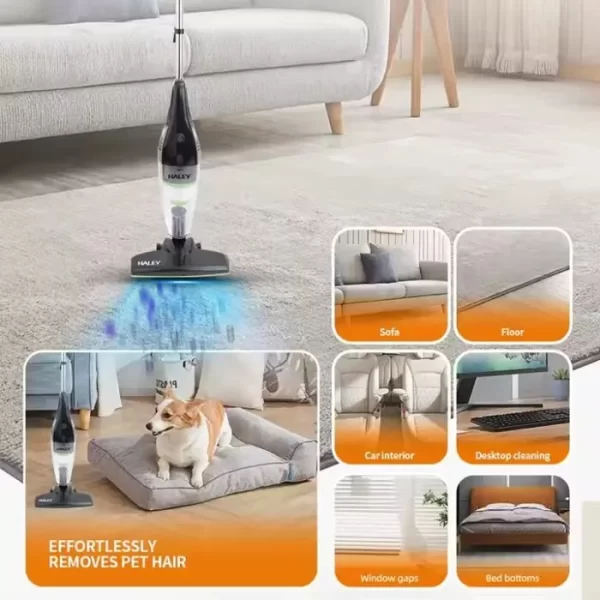 Aspirator cu Bat Profesional Haley 1925-3