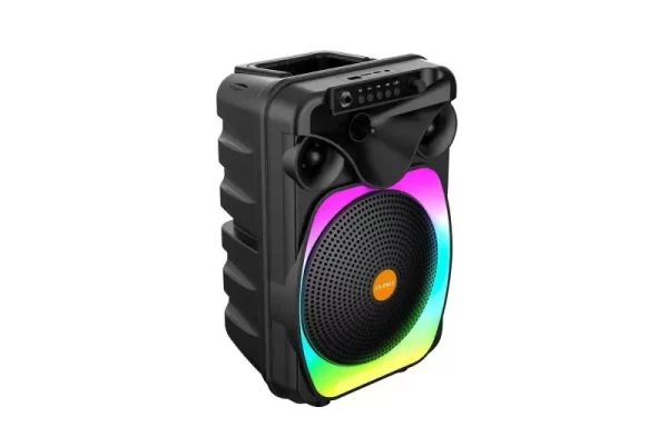 Boxă Bluetooth Portabilă Karaoke-2