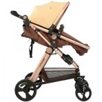 Carucior litle bird -Beige-2