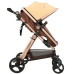 Carucior litle bird -Beige-4