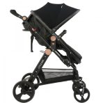 Carucior litle bird -Black-2