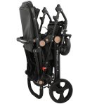Carucior litle bird -Black-3