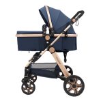 Carucior litle bird -Blue-1