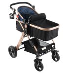 Carucior litle bird -Blue-2