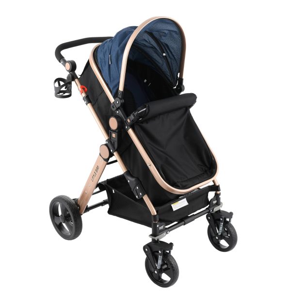 Carucior litle bird -Blue-3