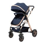 Carucior litle bird -Blue-4