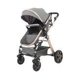 Carucior litle bird -Gri-2