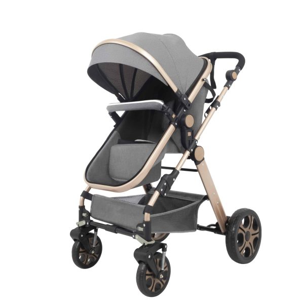 Carucior litle bird -Gri-2