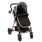 Carucior litle bird -Gri-4