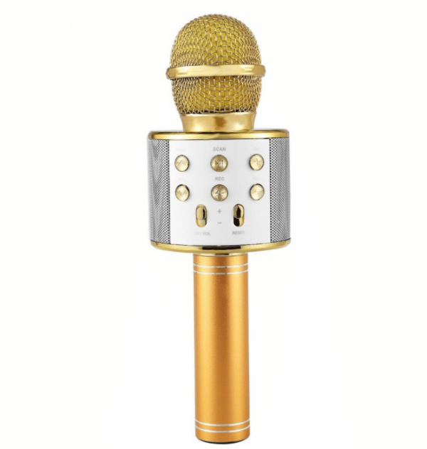 MICRFON KARAOKE 858 GOLD MICRFON KARAOKE 858 GOLD
