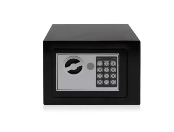 Seif Electronic Mini-1