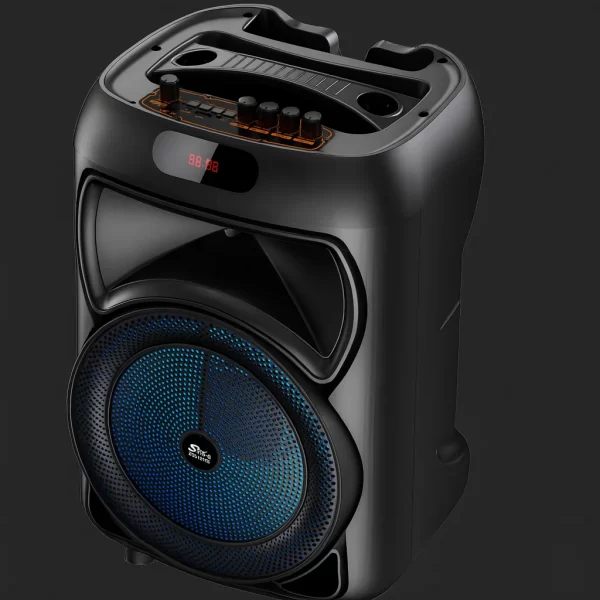 Boxa portabilă karaoke AT Performance cu difuzor de 12-1